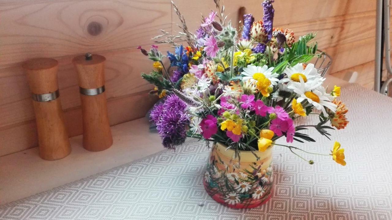 Liptovský HrádokTiny House Oliviaアパートメント エクステリア 写真